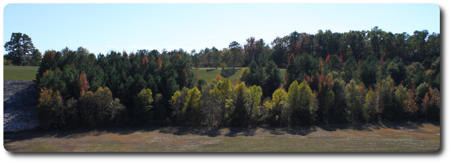 Panoramic