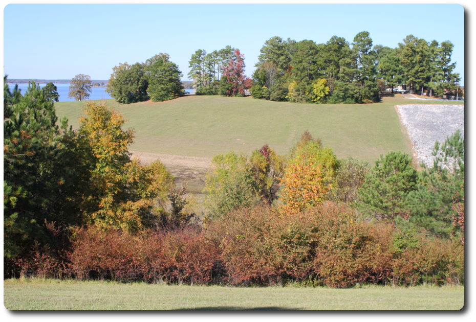 Panoramic