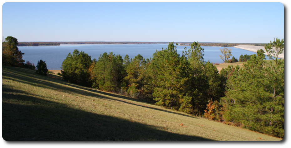 Panoramic