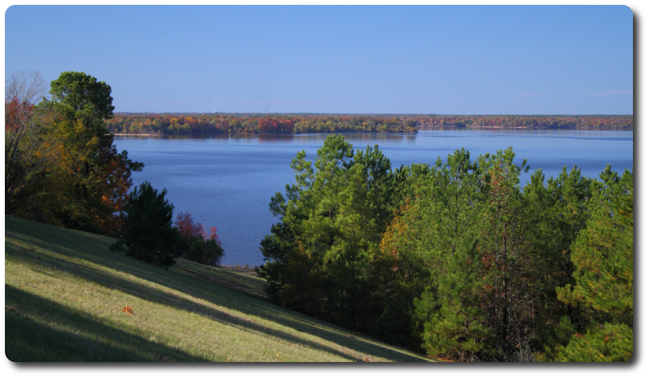 Panoramic