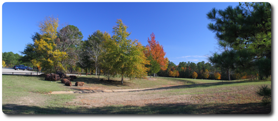 Panoramic