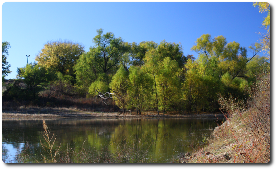 Panoramic