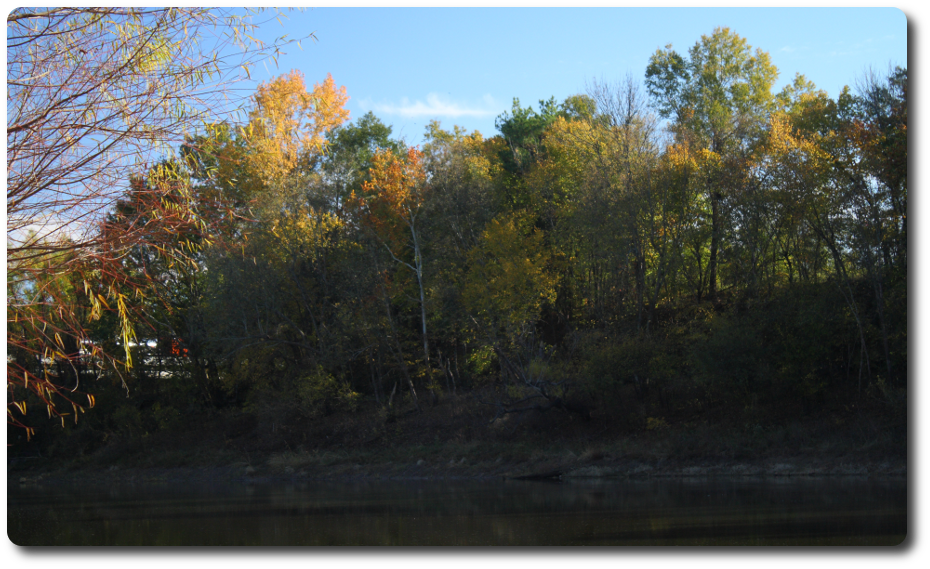Panoramic