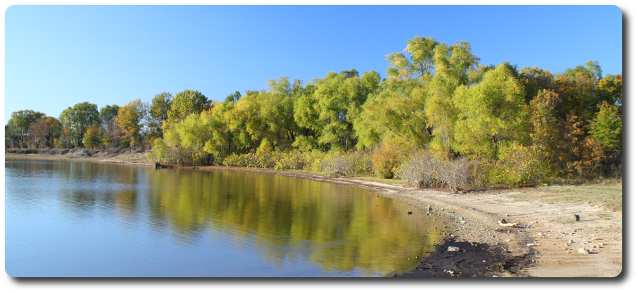 Panoramic