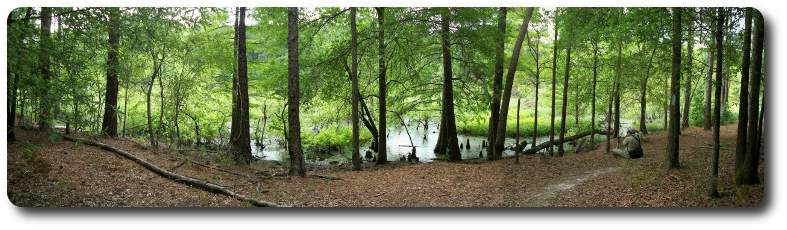 Panoramic