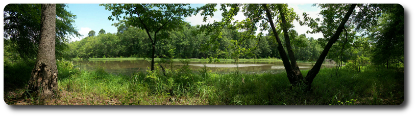 Panoramic